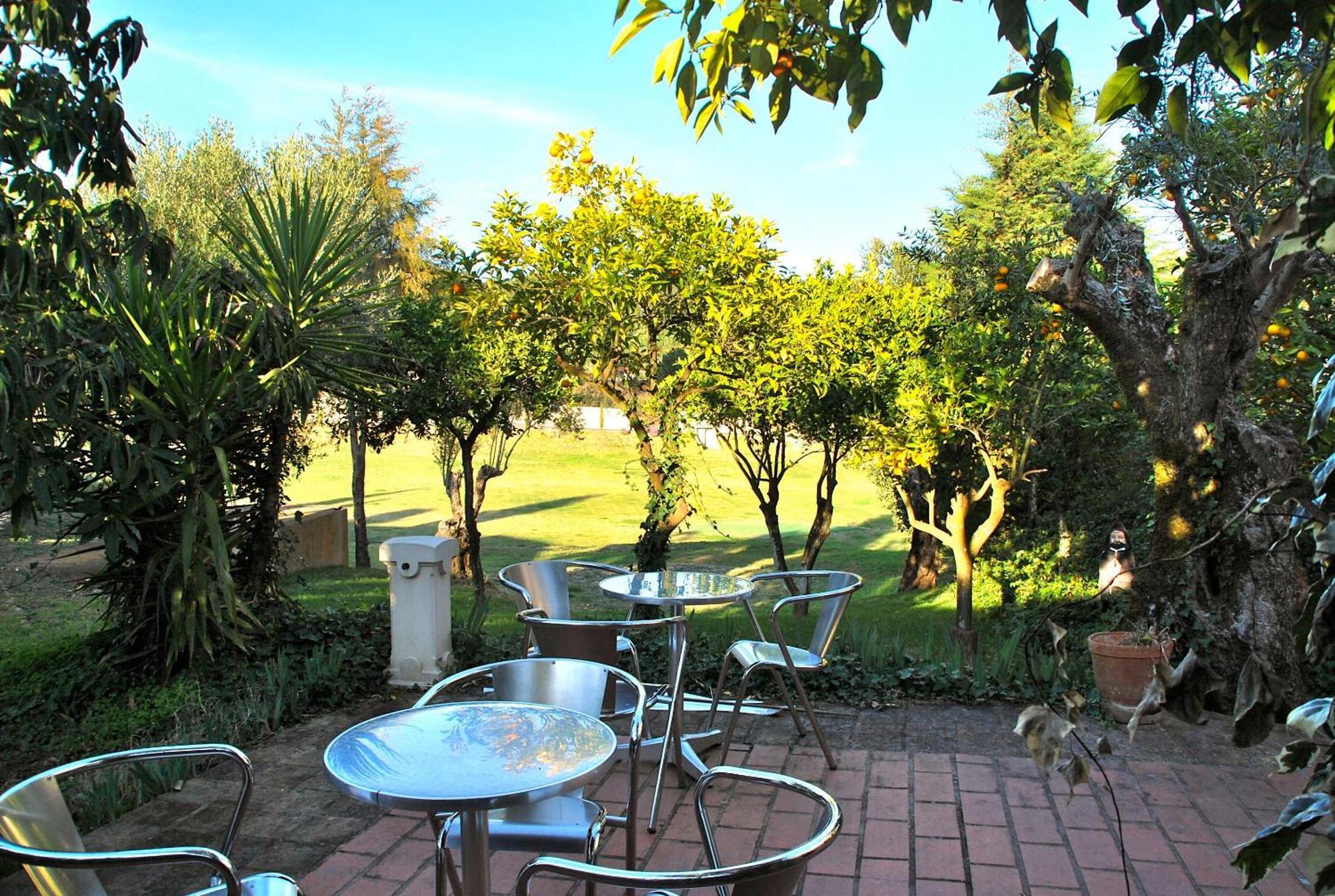 Hotel Quinta De Santa Barbara By Heavens Sleepy Constância Esterno foto